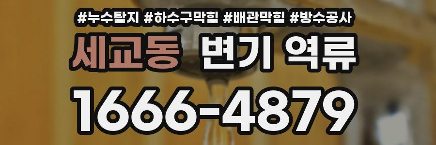 세교동 변기 역류