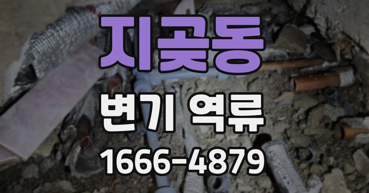 지곶동 변기 역류