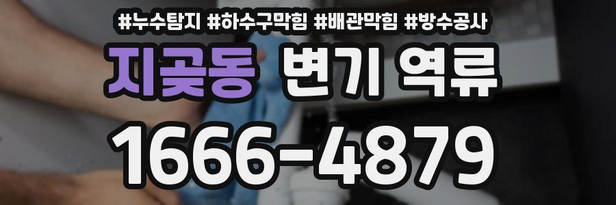 지곶동 변기 역류