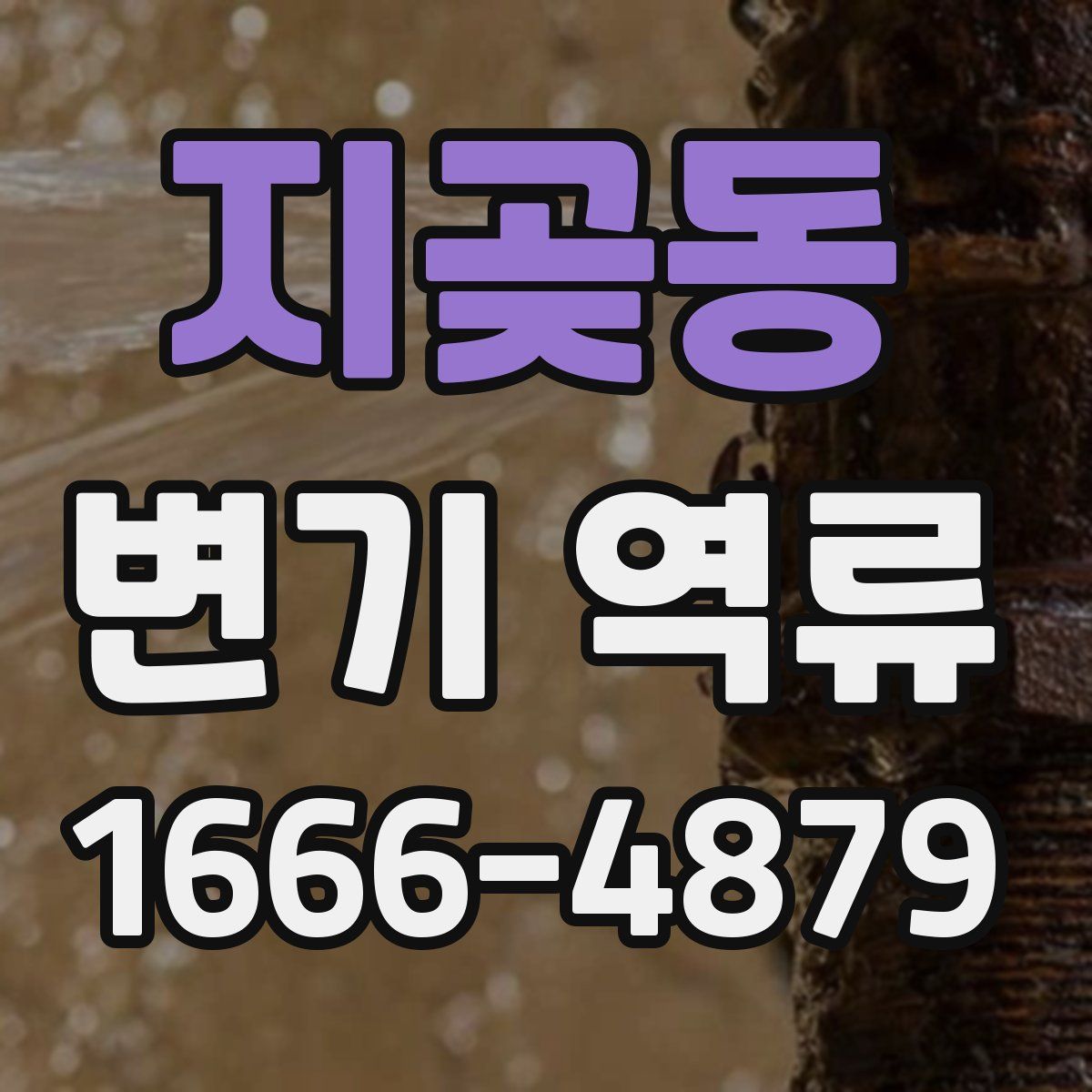 지곶동 변기 역류