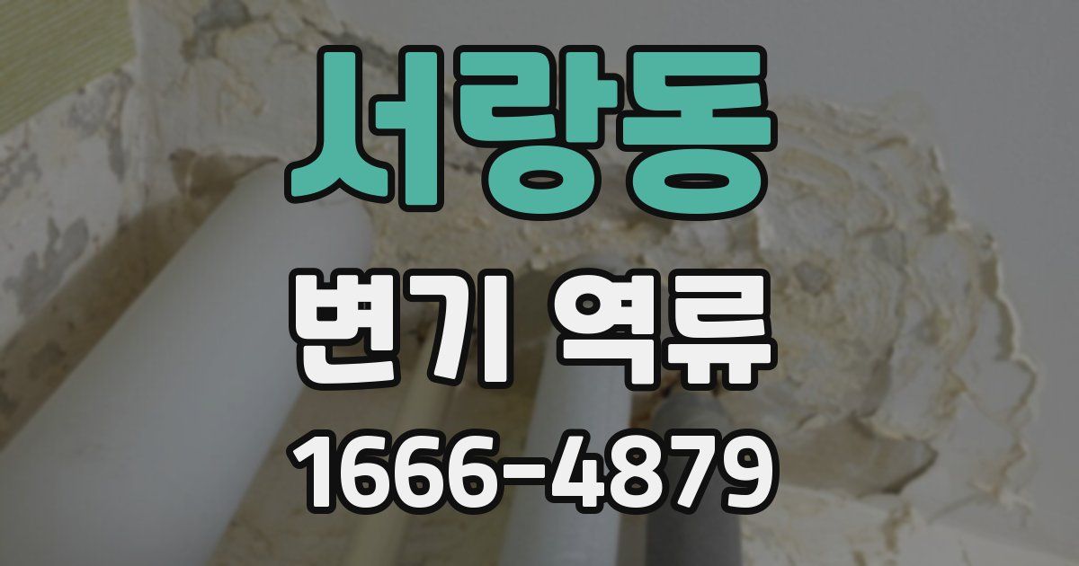 서랑동 변기 역류