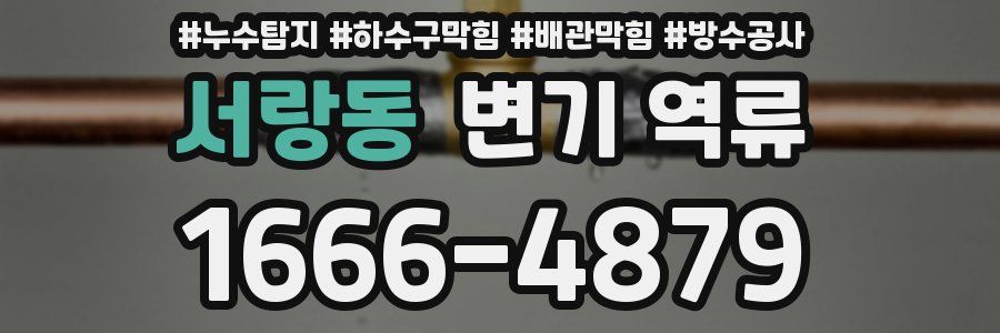 서랑동 변기 역류