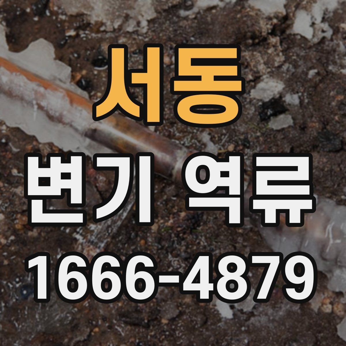 서동 변기 역류 원인 파악을 위한 기본 점검