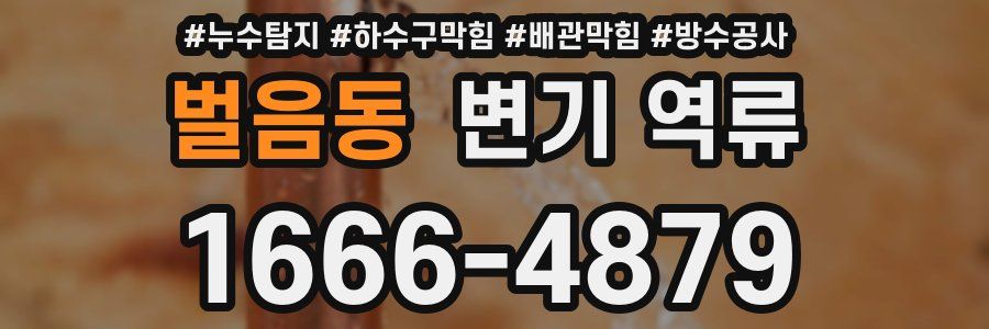 벌음동 변기 역류