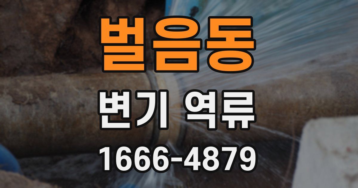벌음동 변기 역류