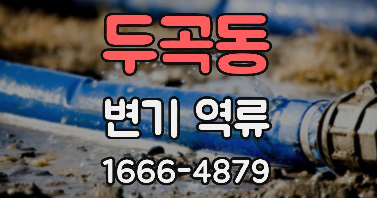 두곡동 변기 역류
