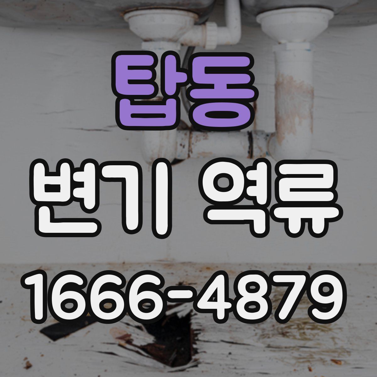 탑동 변기 역류