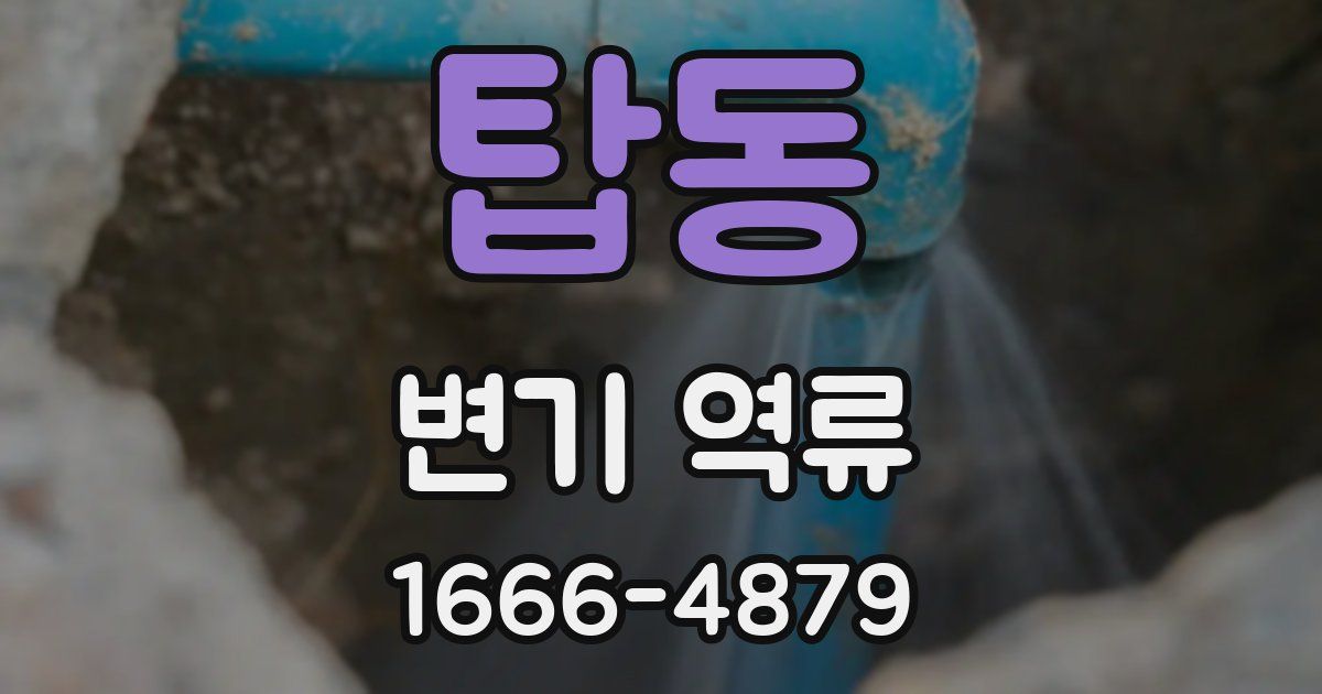 탑동 변기 역류