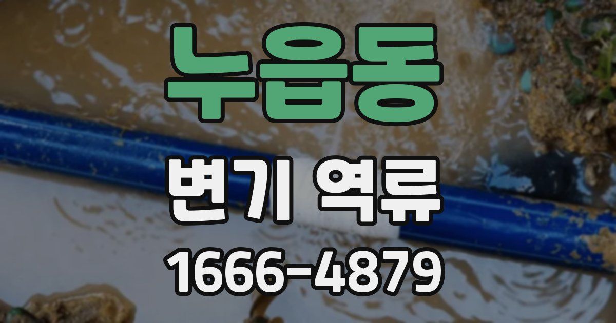 누읍동 변기 역류