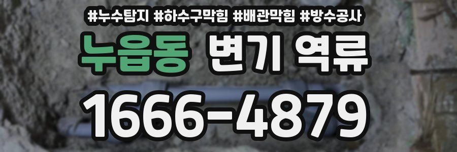 누읍동 변기 역류