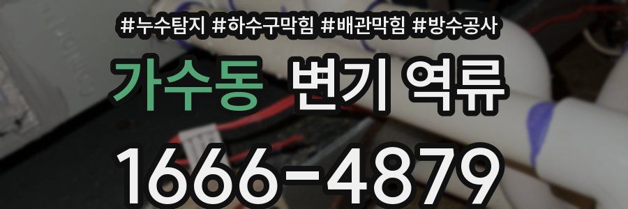 가수동 변기 역류