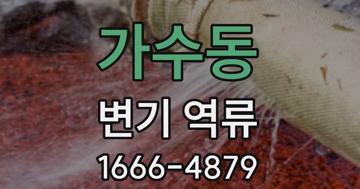 가수동 변기 역류