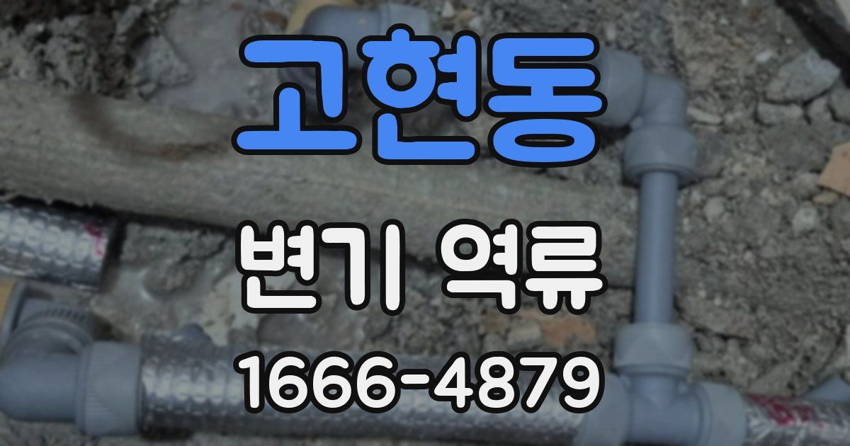 고현동 변기 역류