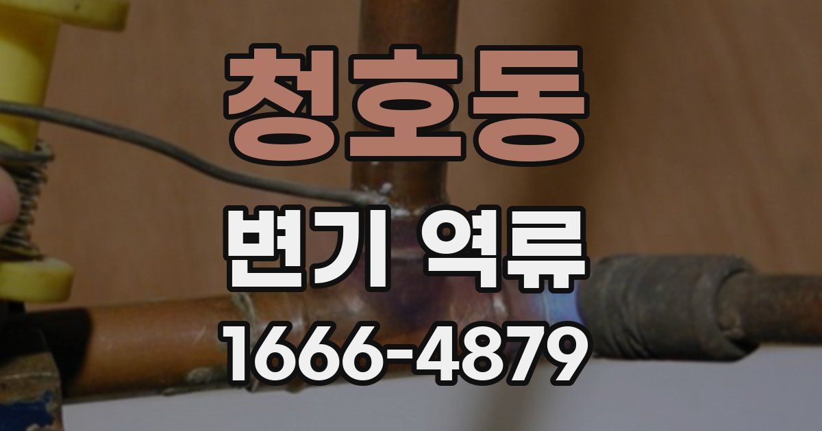 청호동 변기 역류
