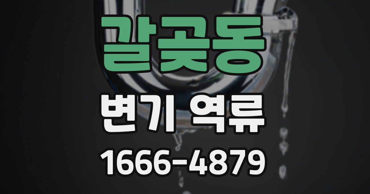갈곶동 변기 역류