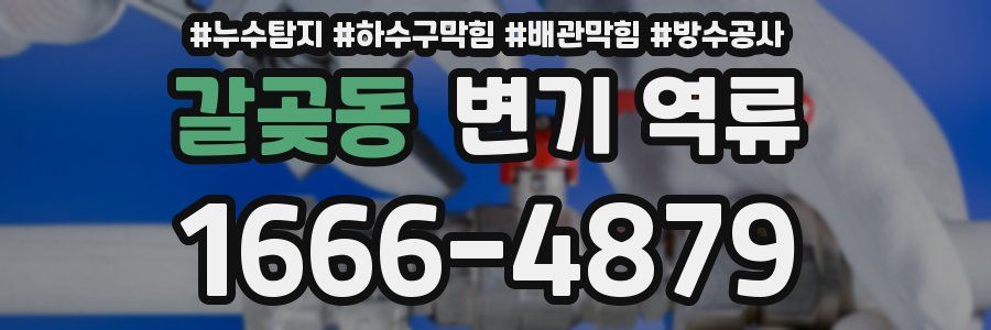 갈곶동 변기 역류