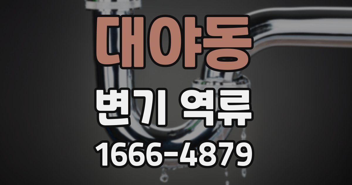 대야동 변기 역류