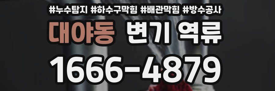 대야동 변기 역류