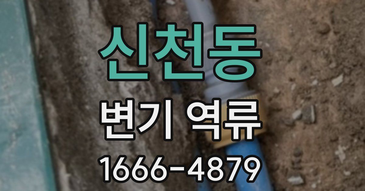 신천동 변기 역류