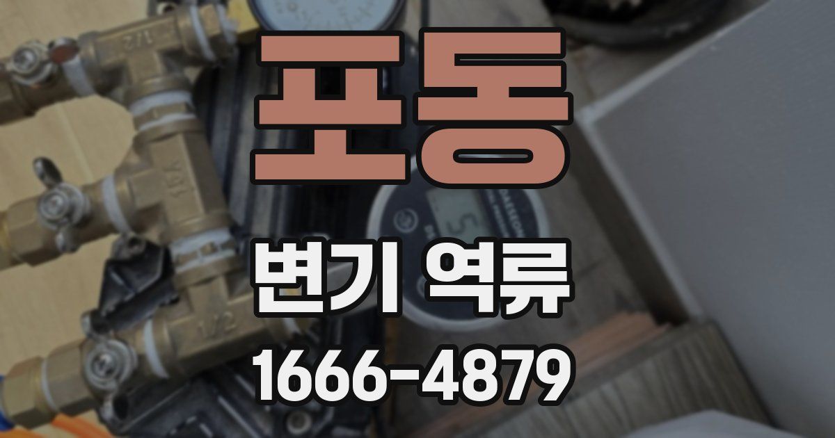 포동 변기 역류