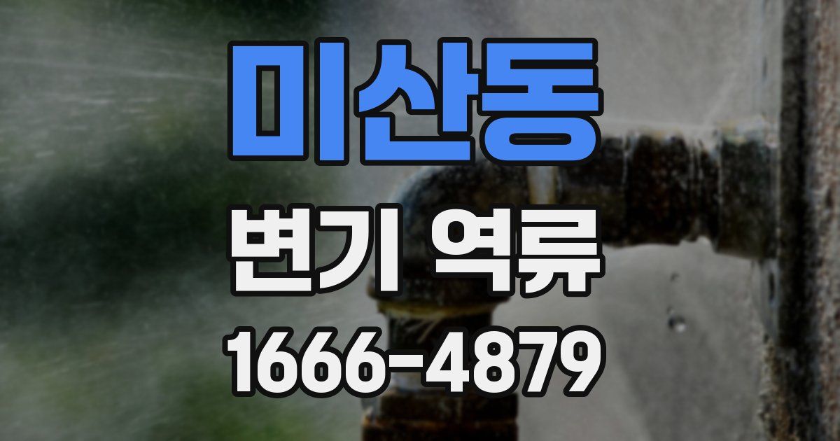 미산동 변기 역류