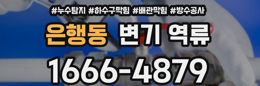 은행동 변기 역류