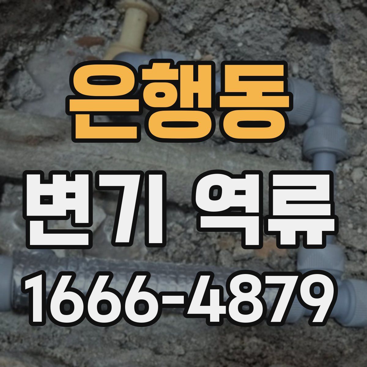은행동 변기 역류
