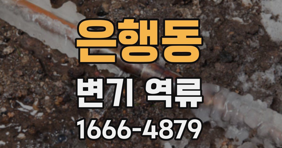 은행동 변기 역류