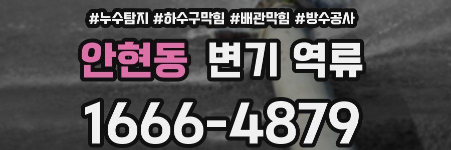 안현동 변기 역류