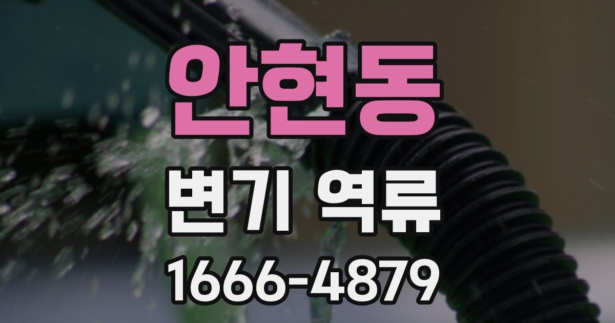 안현동 변기 역류