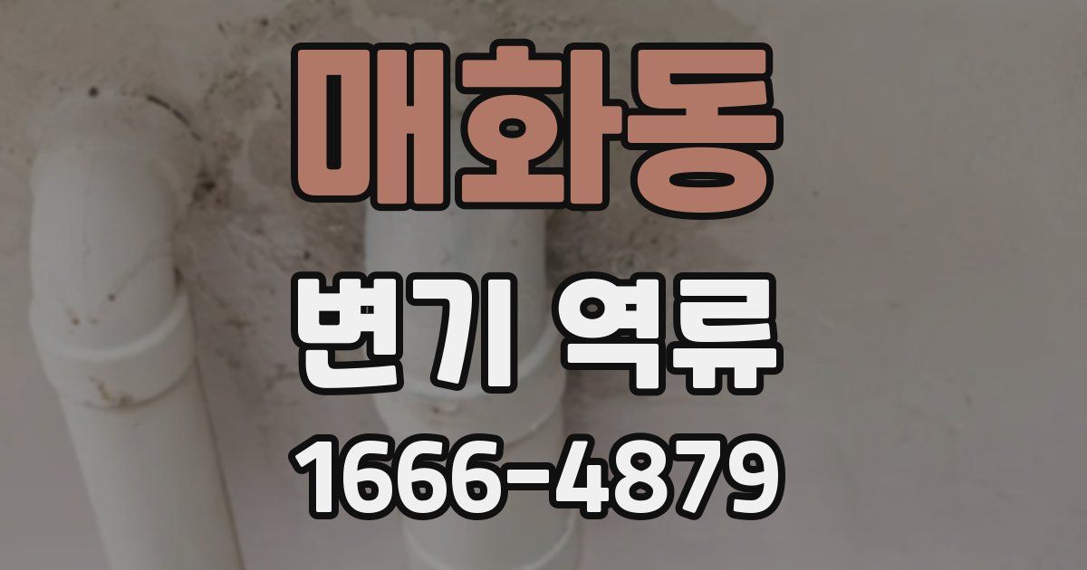 매화동 변기 역류