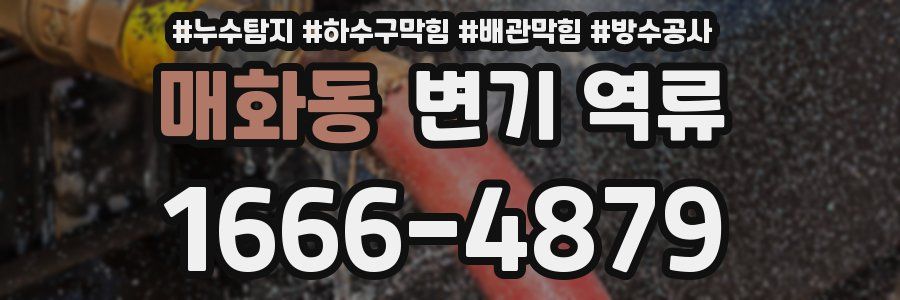 매화동 변기 역류