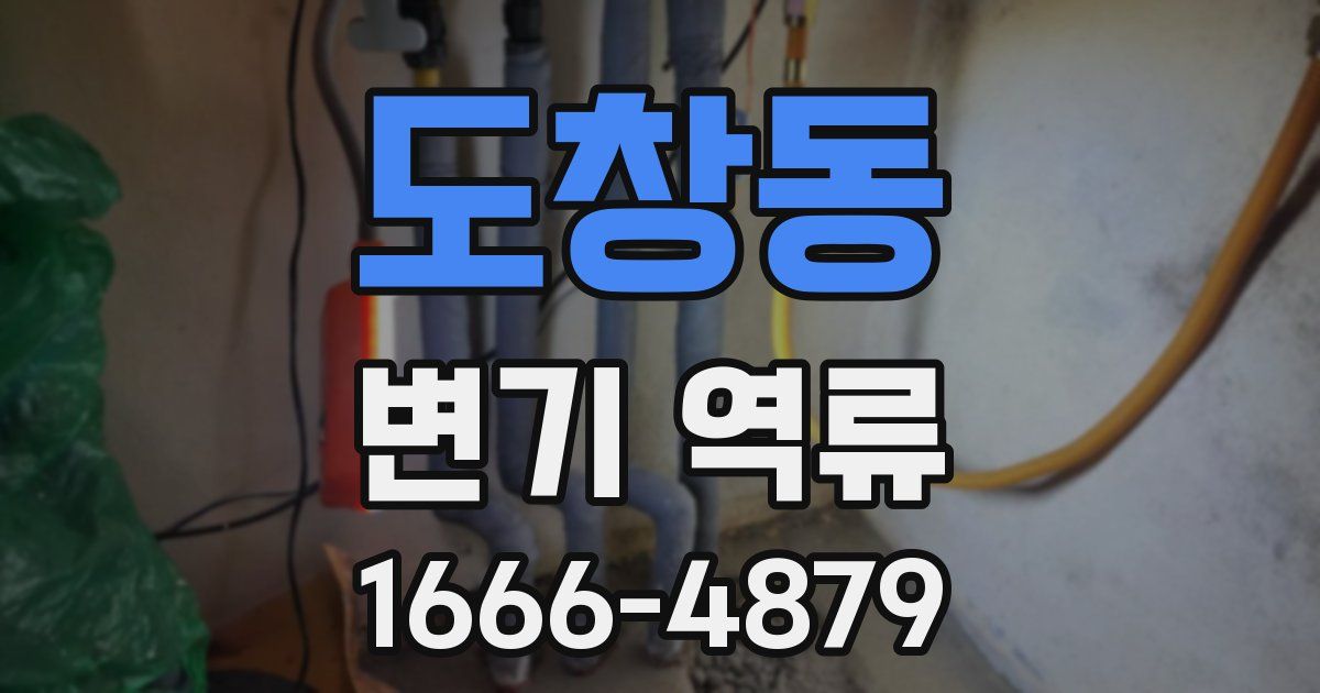 도창동 변기 역류