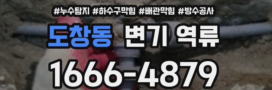 도창동 변기 역류