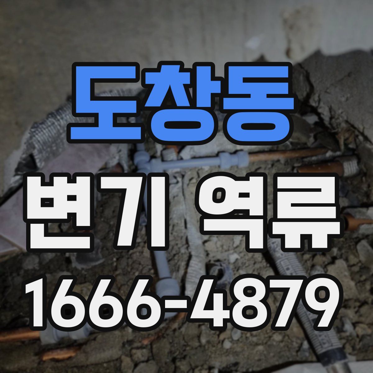 도창동 변기 역류