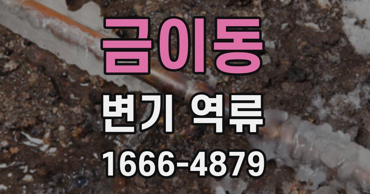 금이동 변기 역류
