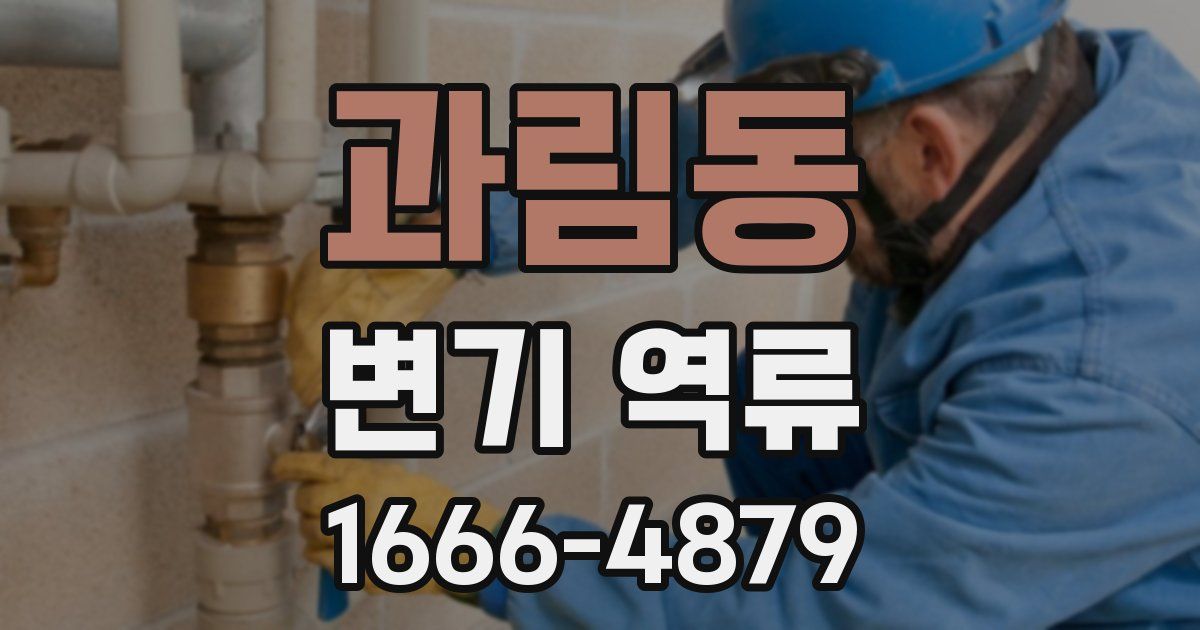 과림동 변기 역류