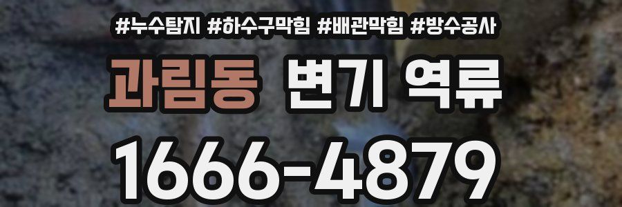 과림동 변기 역류