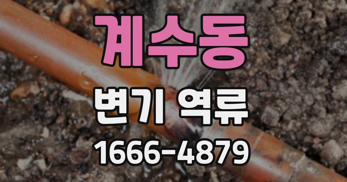 계수동 변기 역류