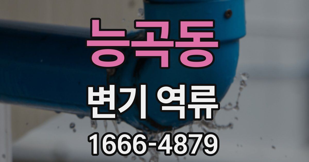 능곡동 변기 역류
