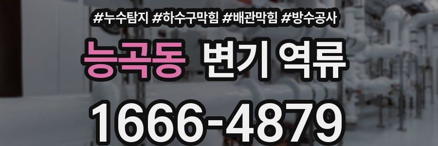 능곡동 변기 역류