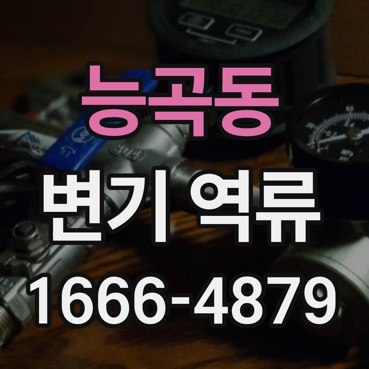 능곡동 변기 역류