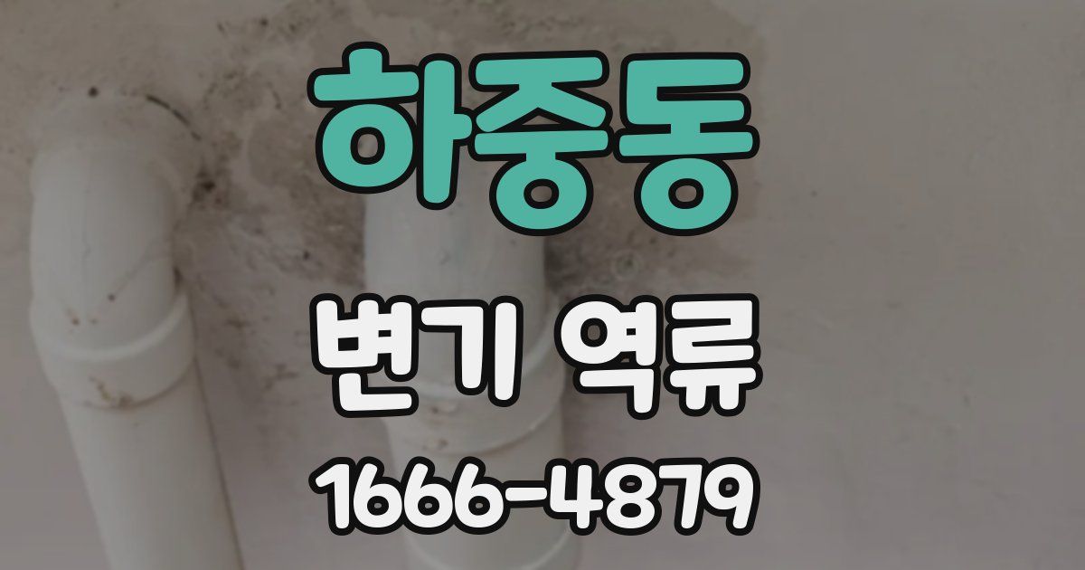 하중동 변기 역류