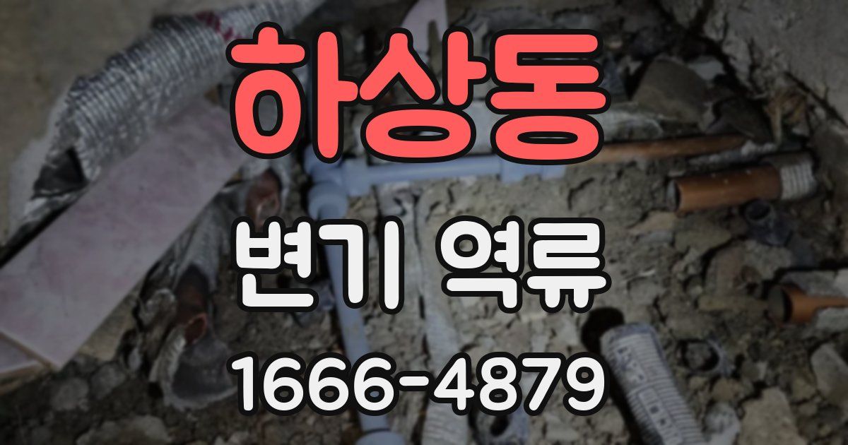 하상동 변기 역류