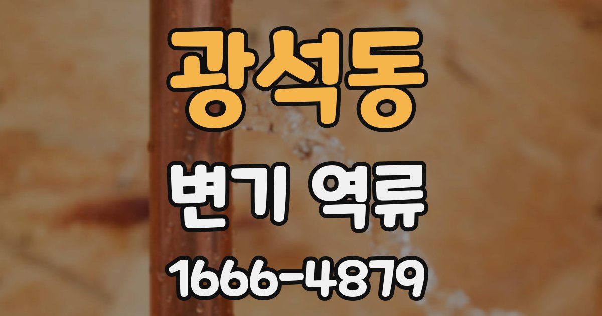 광석동 변기 역류