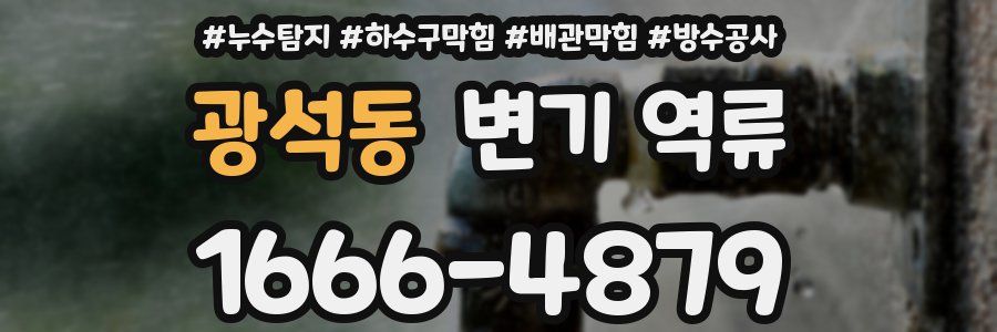 광석동 변기 역류