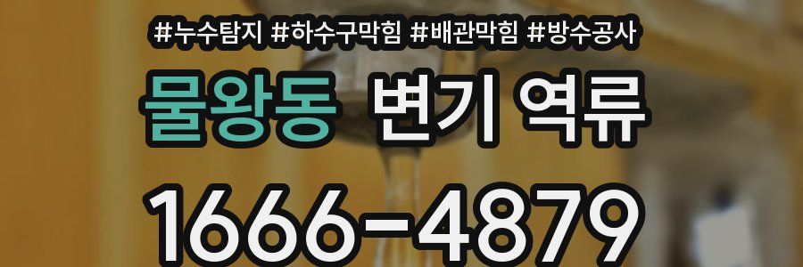 물왕동 변기 역류