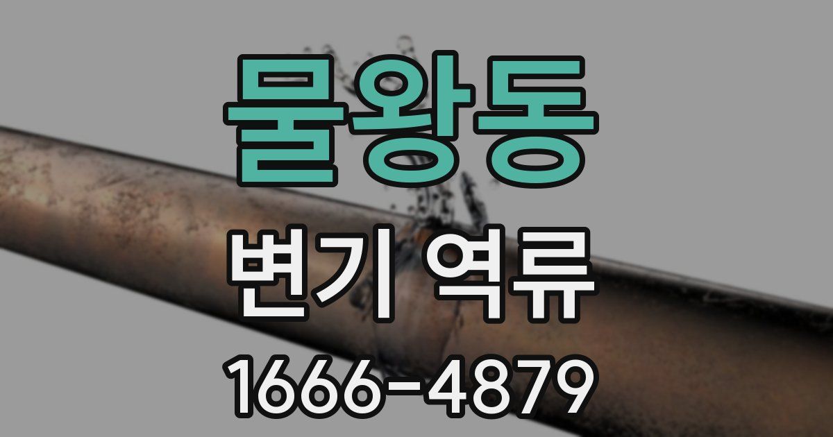 물왕동 변기 역류