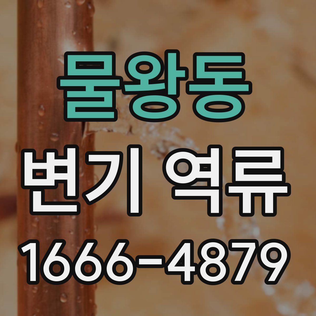 물왕동 변기 역류
