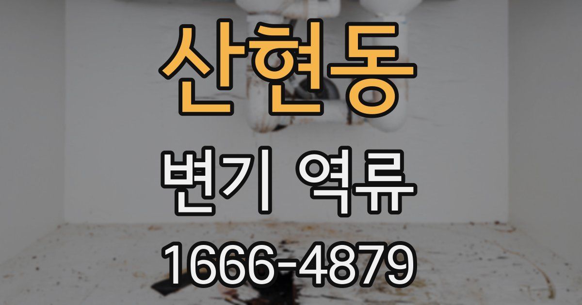 산현동 변기 역류